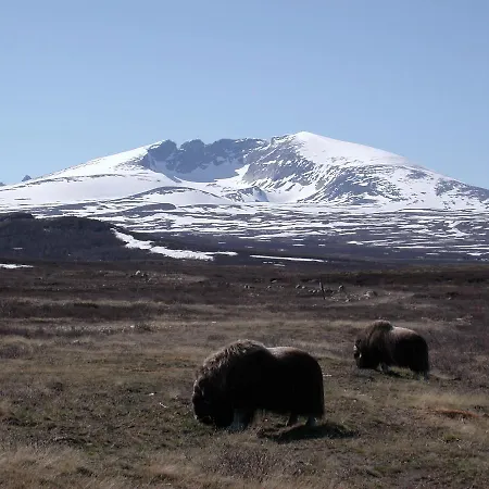 Kongsvold Fjeldstue Hotel Oppdal