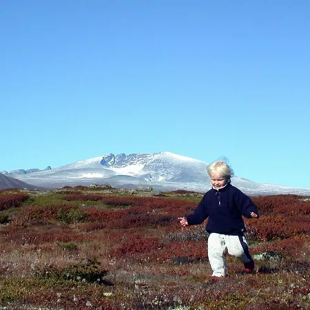 Kongsvold Fjeldstue ホテル *