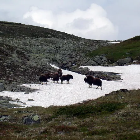 Kongsvold Fjeldstue Hotel Oppdal